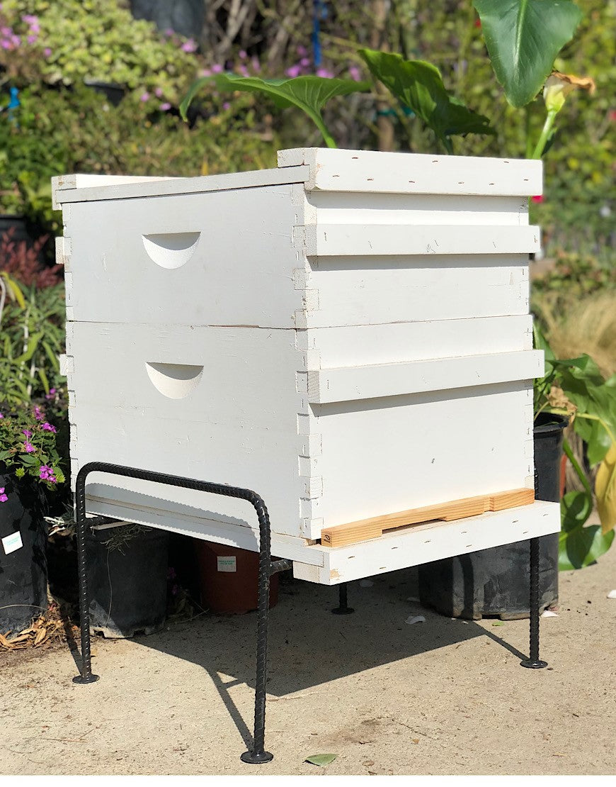 First Year Hive (Deep & Medium) - Painted White – TheValleyHive